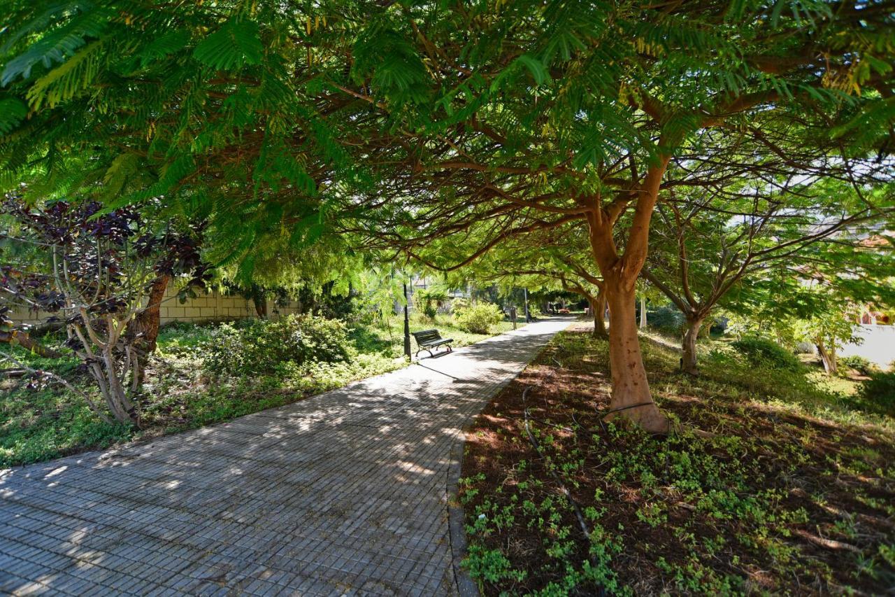 Apartamentos Lavanda Puerto de la Cruz  Eksteriør bilde